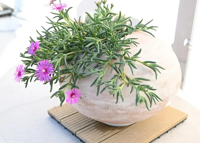 公寓 One Bedroom Zefir Near Stikovica *